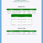 J Copa_de_Oro_y_Plata