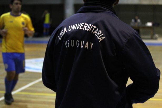 Foto: Arenga.